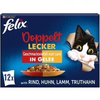 Felix SGWEA doppelt lecker Geschnetzeltes vom Land 12er M