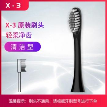 Rechargeable Sonic Toothbrush with 4 Soft Brush Heads and Whitening Function
