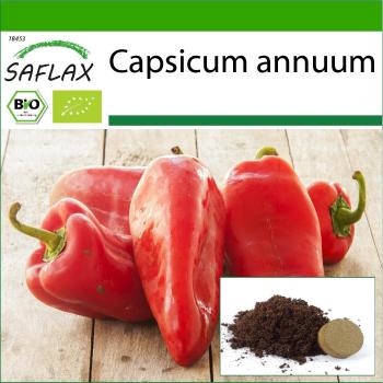 Red Marconi Sweet Pepper Seeds with Soil Pack