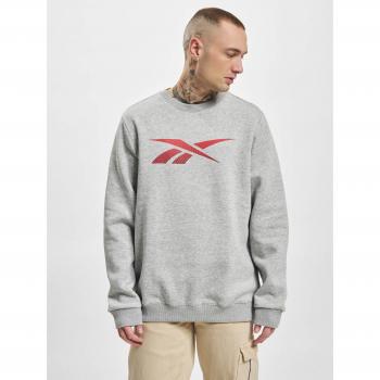Sudadera Reebok Ri Logo Gris con Capucha