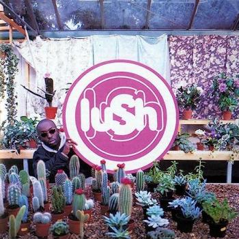 Lovelife Vinilo Lush - Gel lubrifiant à base d'eau, douceur et parfum plaisant