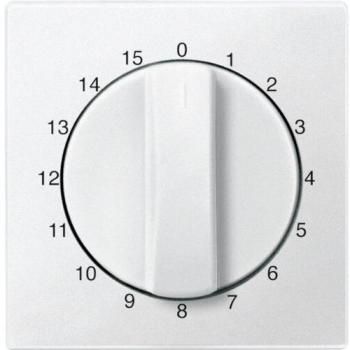 Accessorio Merten per inserto timer 539019