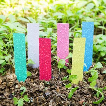 Wasserdichte Saatgut Etiketten 100er Pack
