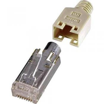 Spina RJ45 Schermata CAT5e 8P8C Dritta Beige - Confezione da 10