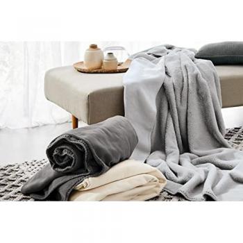 Irisette Wohndecke »Relax 8900«, kuschelig weich und pflegeleicht