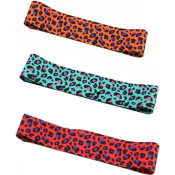 Leopard Print Elastic Workout Bands