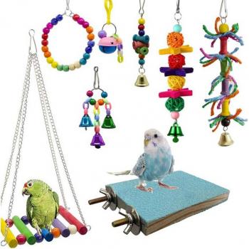 Conjunto de Juguetes para Mascotas - 8 Uds Verde