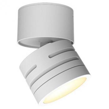 Ansell Adjustable Outdoor LED Downlight Reef Matt White 5W 486lm 90D - IP65