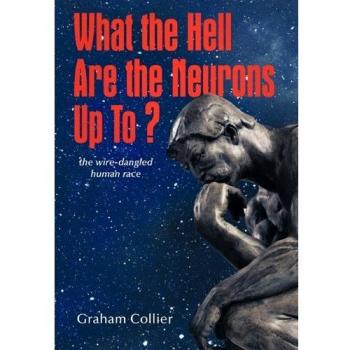 What the Hell are the Neurons Up To?