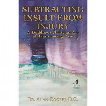 Cooper, Alan: Subtracting Insult from Injury