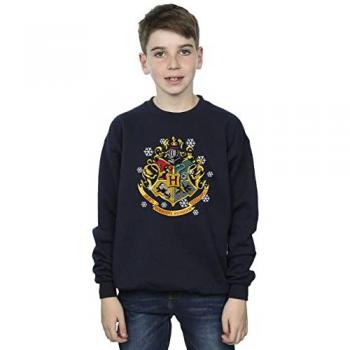 Blue Wizard Boys' Sweatshirt – Harry Potter BI20395