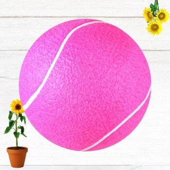Balle d’entraînement tennis rose « Famille »