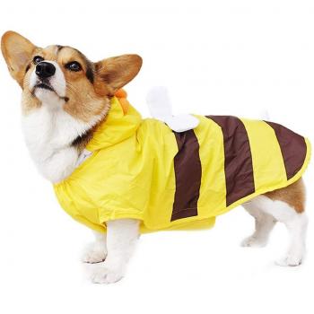 Veste à capuche imperméable pour petits chiens
