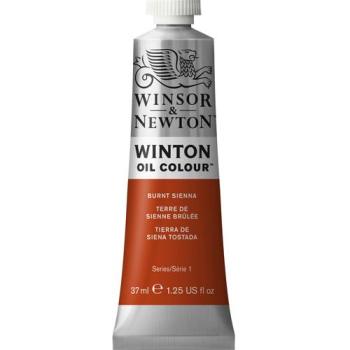 Winton Verbrand Sienna 37 ml Olieverf – Winsor & Newton