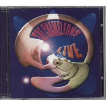 Die Chamäleons - Live