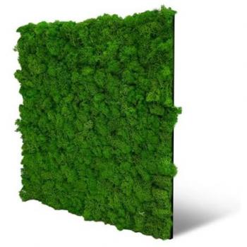 JANGAL Modular Wandpaneel Echtmoos 52 x 52 cm