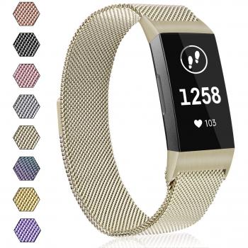 AK Metal Loop Replacement Strap for Fitbit Charge 3 - Small/Large