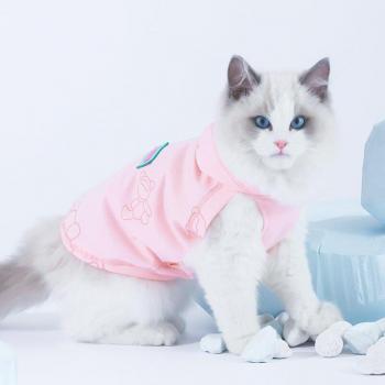 HOOPET Summer Thin Anti-Hair Loss Cat Sweater