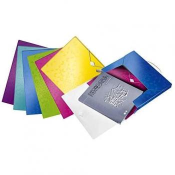 Cartella Leitz WOW A4 Colori Assortiti