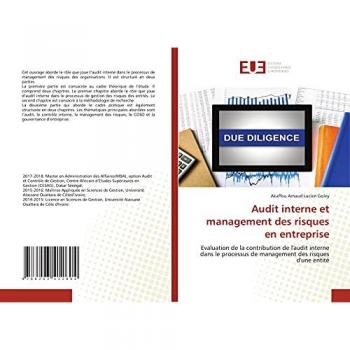 Goley, Akaffou Arnaud Lucien: Audit interne et management des risques en entreprise