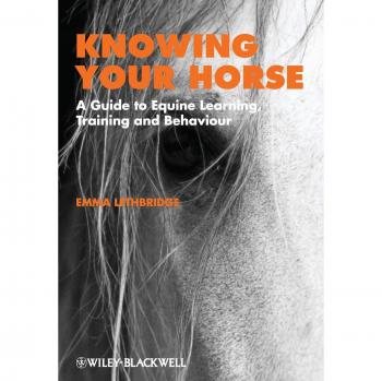 Knowing Your Horse