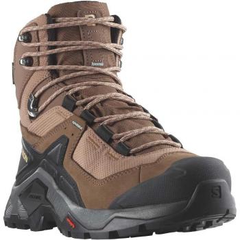 Chaussures de randonnée Salomon Quest Element GTX Femme 36(2/3)