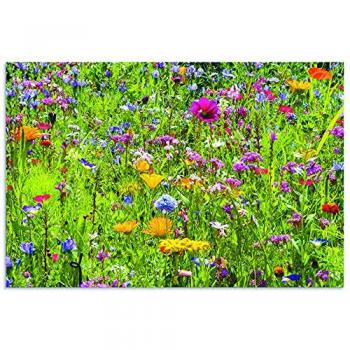 Wandbild ARTLAND Bunte Blumenwiese, bunt, B:120cm H:80cm, Bilder, als Alubild, Outdoorbild, Leinwandbild, Poster, Wandaufkleber