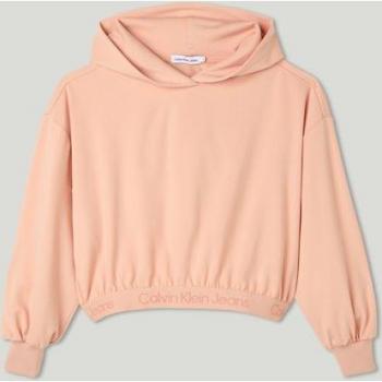 Felpa con Cappuccio Calvin Klein Jeans Pink Sand 10 Anni