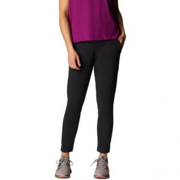 Dynama/2 Mountain Hardwear Femme Pants