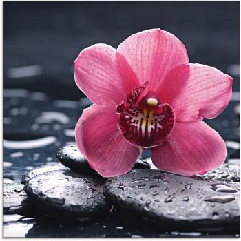 Artland Glasbild: Kiesel und Orchidee – Naturstillleben