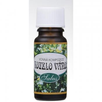 Saloos Vonný olej do aromalamp 10 ml Kouzlo Vánoc