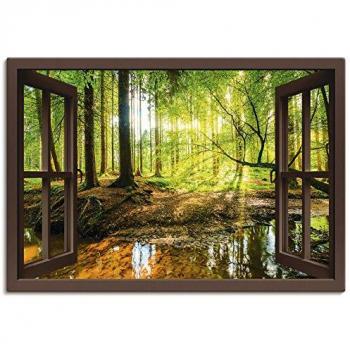 Leinwandbild Naturblick - Waldszene
