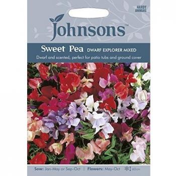 Johnsons Flower Seeds: Sweet Pea Dwarf Blend