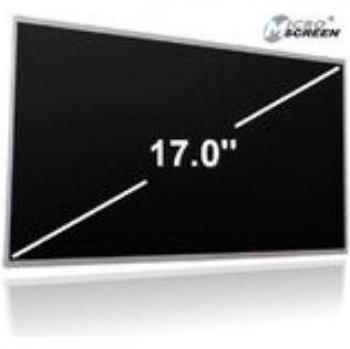 Display 17 LTN170P1-L02 Microscreen