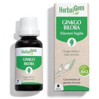 Concentrato di Ginkgo Biloba Giovani Foglie – Gemme Fresche 30ml