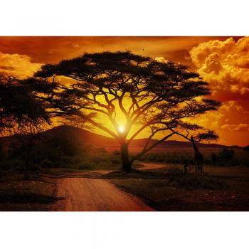 Fototapete 200×140 cm Vliestapete – Giraffe Safari Orange (No. 058)