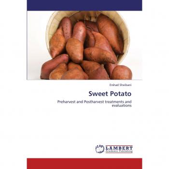 Sweet Potato: Preharvest and Postharvest treatments and evaluations