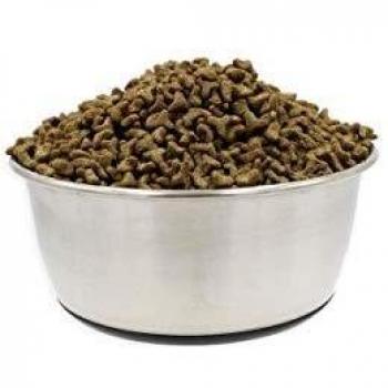 Ecuelle Inox Antidérapante Tyrol pour Chiens 16 cm