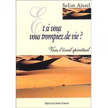 Et si vous vous trompiez de vie ? Vers l'éveil spirituel