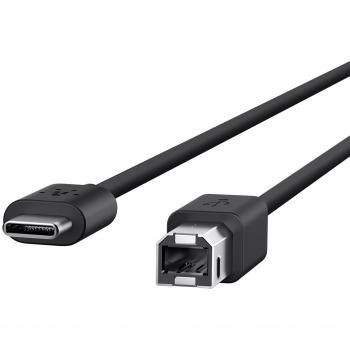 Cavo USB 2.0 Belkin per stampante 2m (USB-C → USB-B)