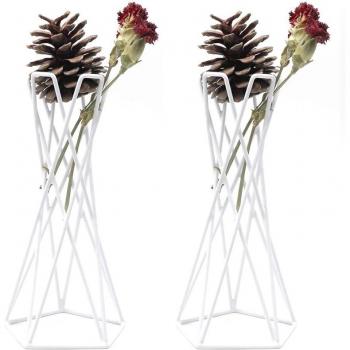 Tillandsia Display Rack
