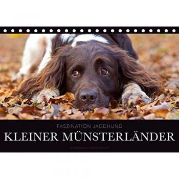 Faszination Jagdhund - Kleiner Münsterländer
