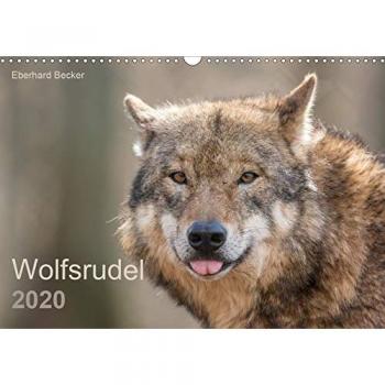 Wolfsrudel