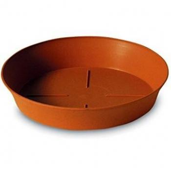 Soucoupe Export 28 cm