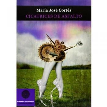 Cicatrices De Asfalto - [Livre en VO]