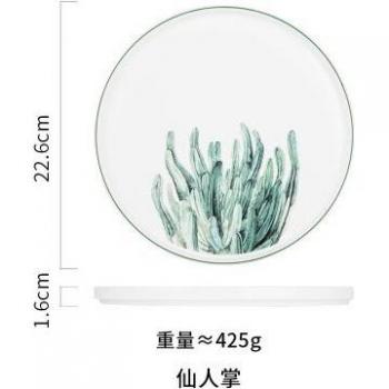 Japanese ceramic western-style food plate