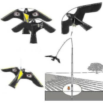 Kite Protector Pájaro Feroz