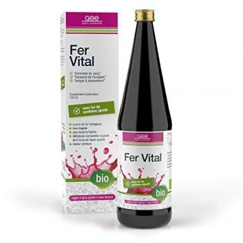 GSE Eisen Vital Complex Bio Flüssigkeit z.Einn. 330 Milliliter