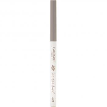 Canmake Lip Trick Liner S01 Bruise Gray Shading Lip Pencil 1.5mm