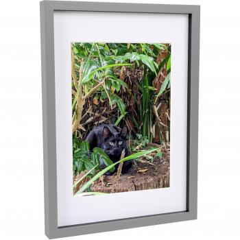 Nicola Spring 12x17 3D Box Photo Frame with A4 Mount 8x12
